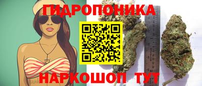кокс Кинель