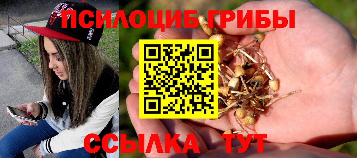 Галлюциногенные грибы ЛСД  Вход с VPN  Лесной 