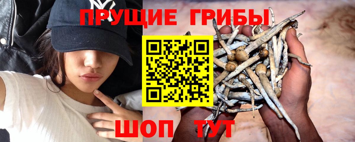 Псилоцибиновые грибы MAGIC MUSHROOMS Лесной